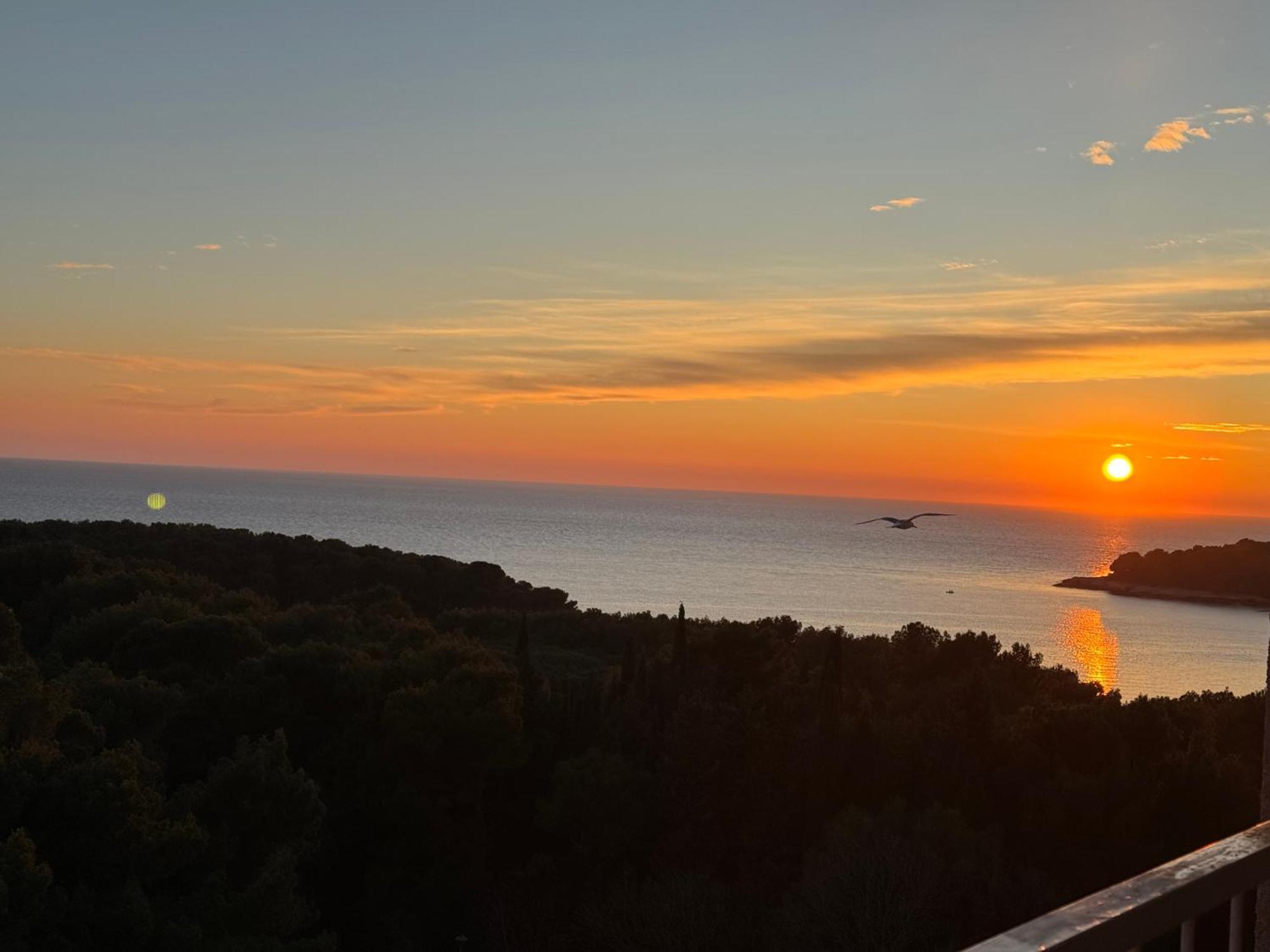 Panoramic * Pula